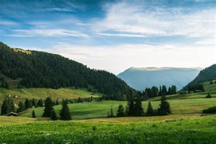 Uncovering The Influence, Inspiration, And Harmony