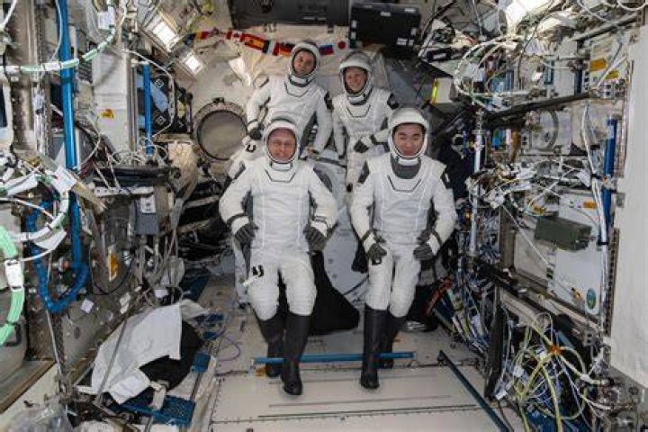 Unleashing Julia Winter's Stellar Rise: Discoveries And Insights
