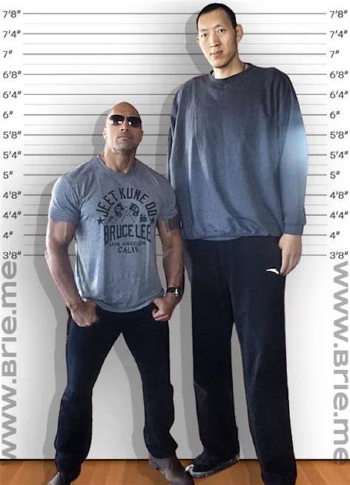 Unlocking The Secrets Of Sun Mingming's Height And Weight