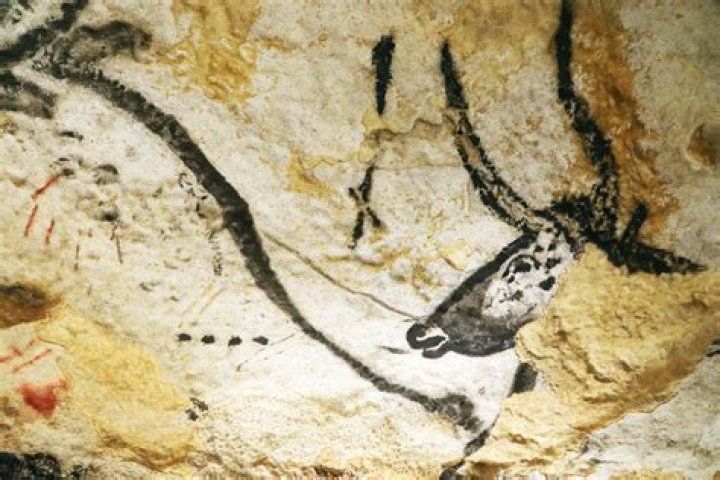 Unravel The Origins Of Sirbalo: A Journey Of Discovery