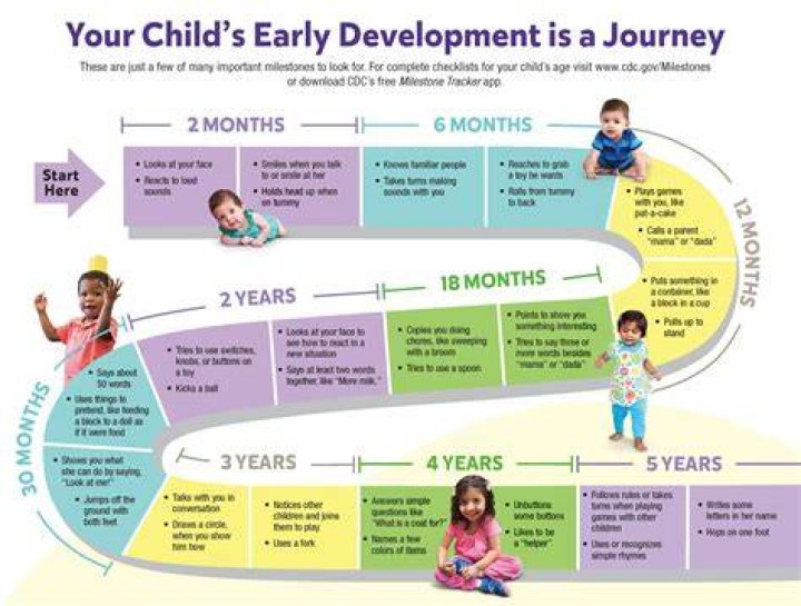 Unraveling Developmental Milestones And Insights