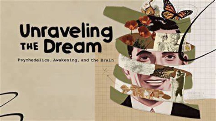 Unraveling Insights And Uncovering Truths