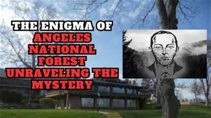 Unraveling The Enigma: David Schultz Missing Theories