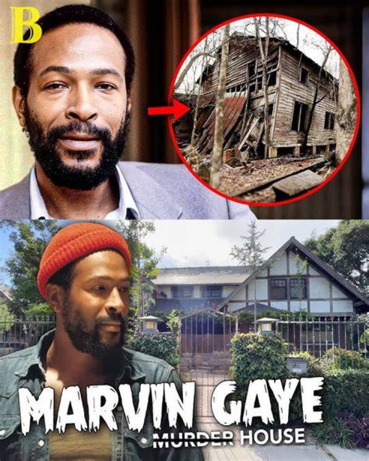 Unraveling The Tragic Story Of Marvin Gaye's Tumultuous Life