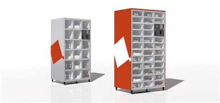 Unveil The Enigma Of Secure Asset Management With Hannah Lockers