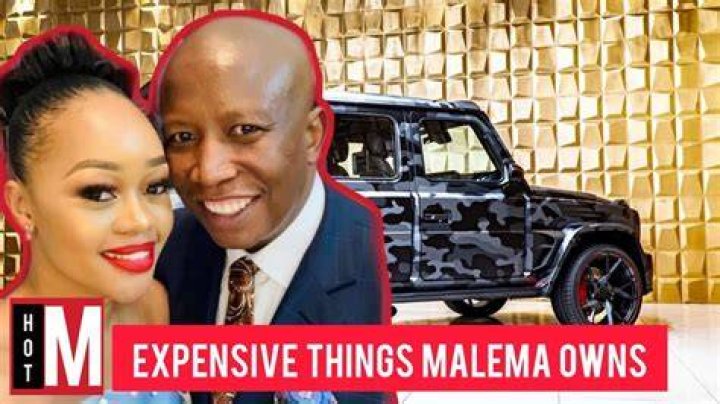Unveiling Julius Malema's Wealth: Cars, Cash, And Controversies