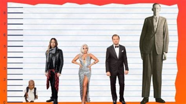 Unveiling Lily Collins' Height: Surprising Discoveries And Revelations