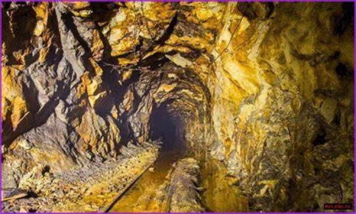 Unveiling Loretta Gold: Discoveries And Insights