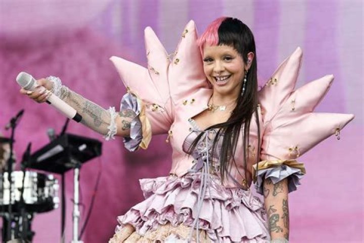 Unveiling "Melanie Martinez's Fans Think": Insights And Discoveries