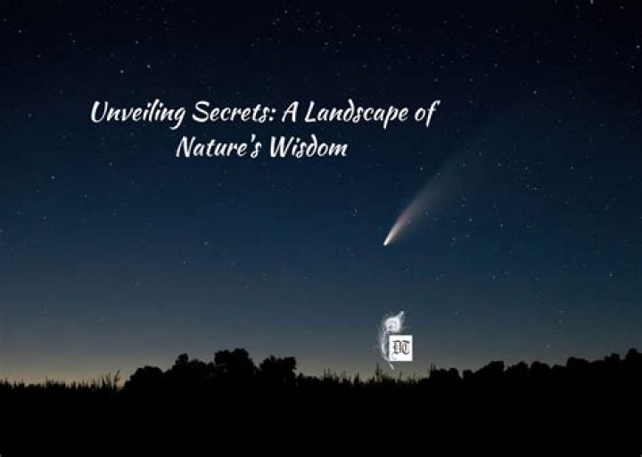 Unveiling Secrets And Illuminating Truths