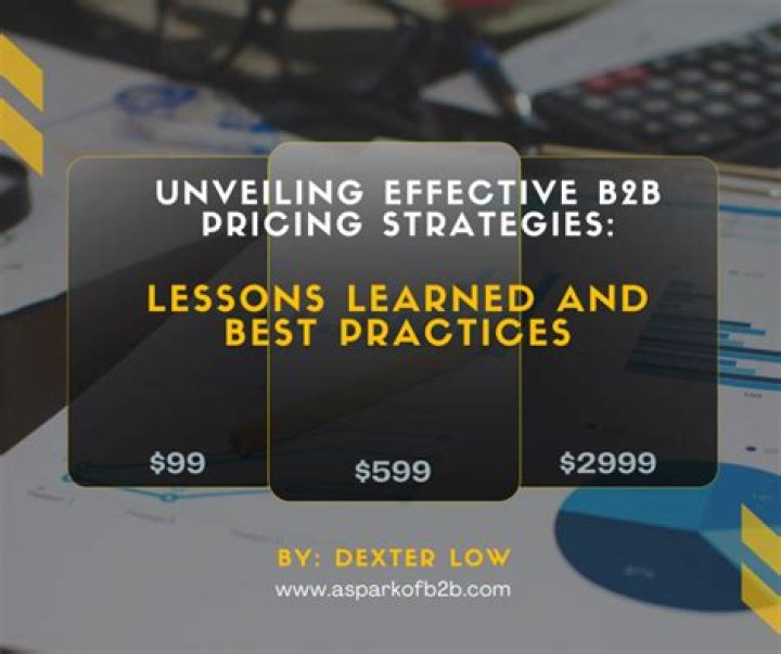 Unveiling Strategies And Lessons Learned