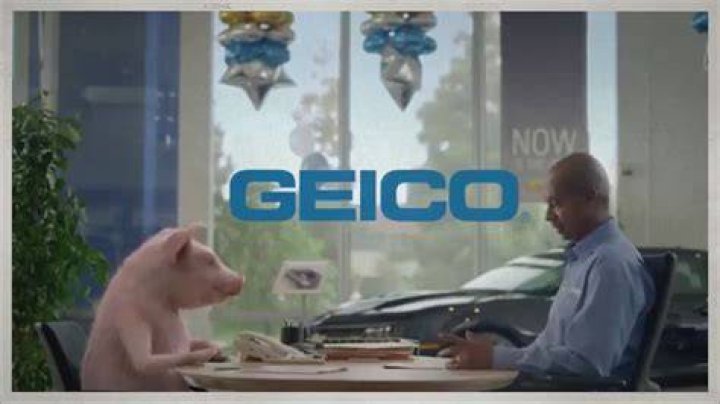 Unveiling The 2023 Geico Commercial Actress: Secrets, Surprises, And Success