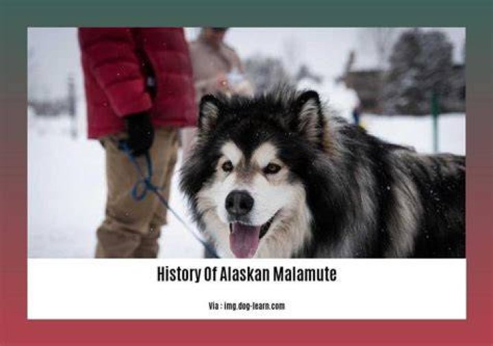 Unveiling The Alaskan Legacy: Matthew Clay Owens' Hockey Journey In Nome