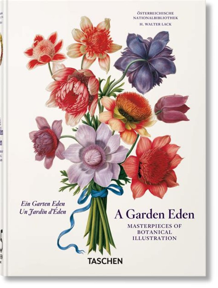 Unveiling The Botanical Masterpieces Of Delilah Ann Mollett