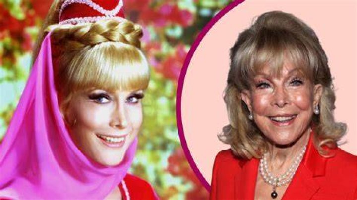 Unveiling The Enduring Bonds: Barbara Eden's Relationships