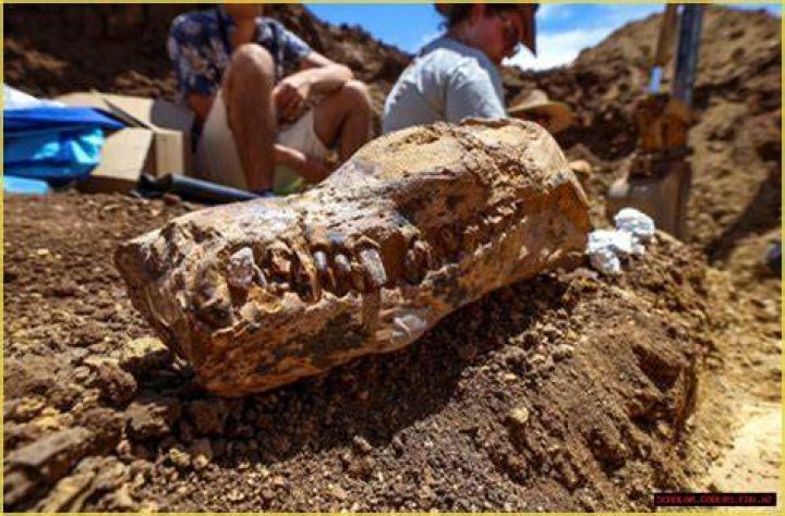 Unveiling The Enigma Of "Guy With Veins": Discoveries And Insights