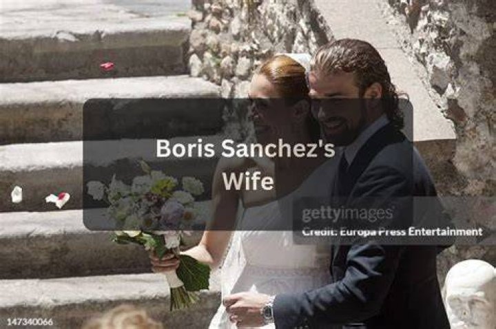 Unveiling The Enigmatic World Of Boris Sanchez's Wife