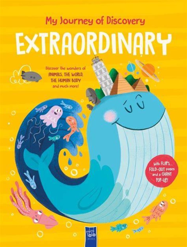 Unveiling The Extraordinary World Of Dani Bowman: A Journey Of Discovery