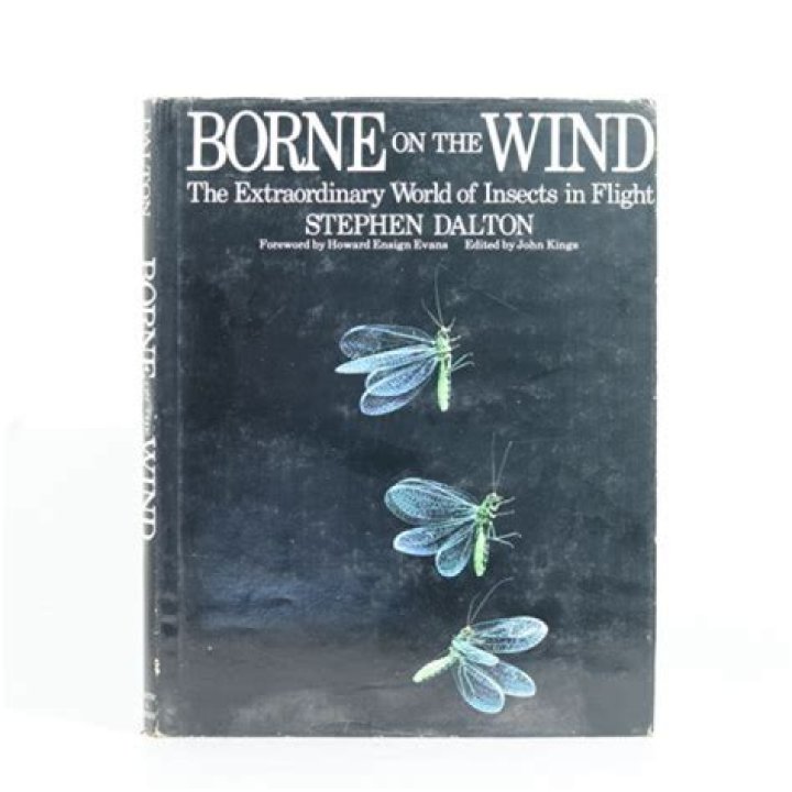 Unveiling The Extraordinary World Of Katharine Ross Ektem: Discoveries And Insights