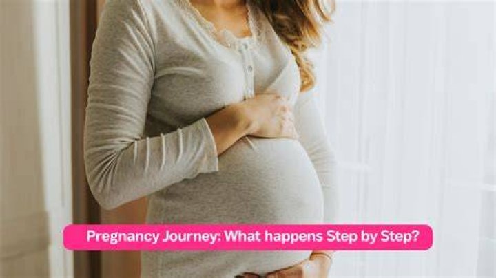 Unveiling The Journey Of Pregnancy, Parenting, And Partnership