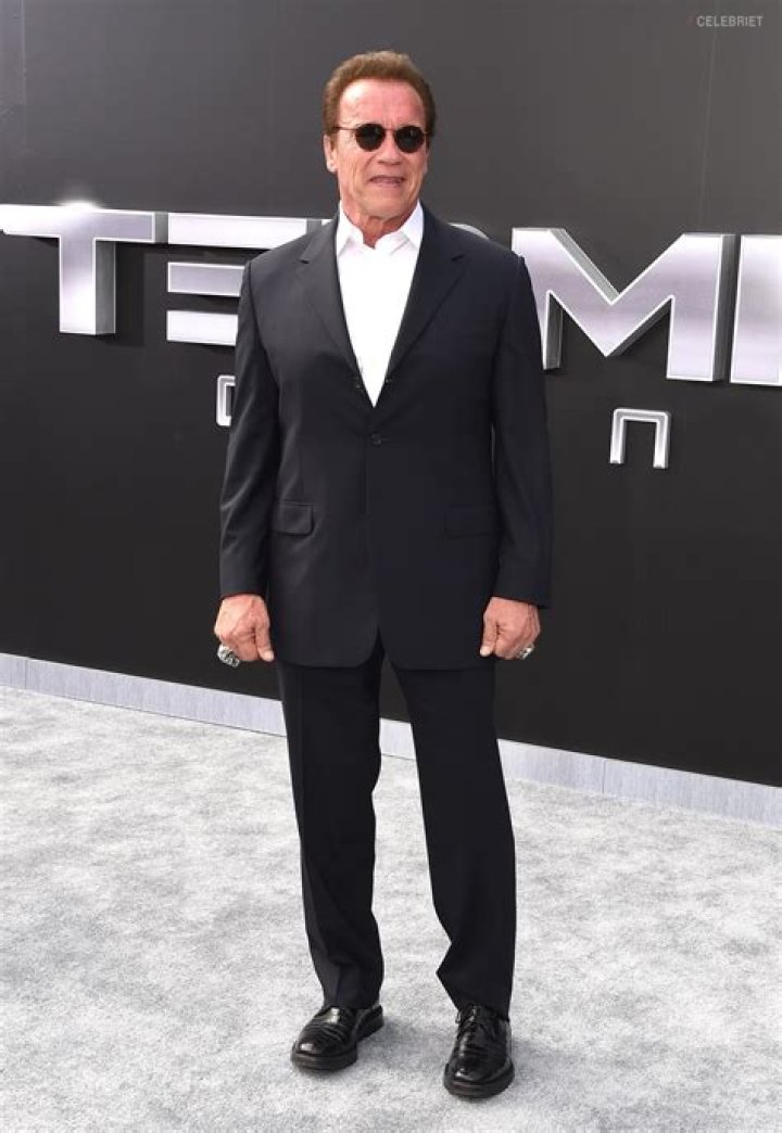 Unveiling The Multifaceted Wealth Of Arnold Schwarzenegger