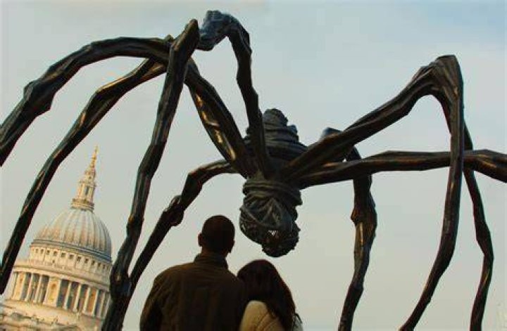 Unveiling The Secrets Of Spider Attraction
