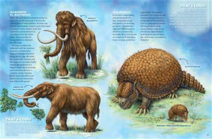 Unveiling The Secrets Of The "Tael Age": Discoveries And Insights