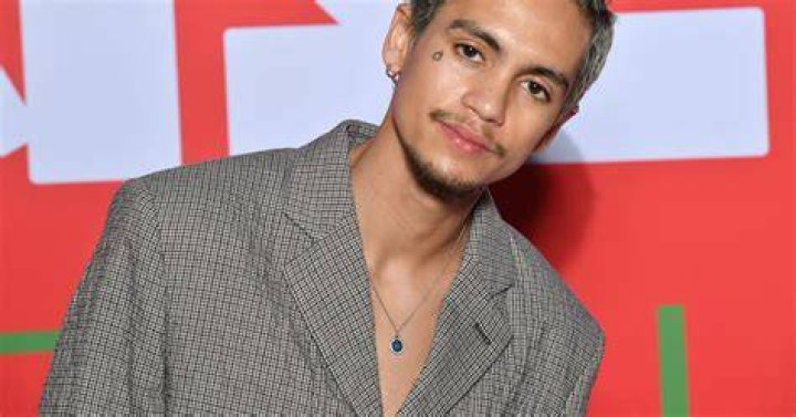 Unveiling The Truths Behind Dominic Fike's House Arrest: A Journey Of Discovery