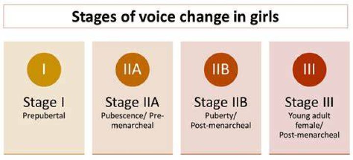 What age does the voice change?