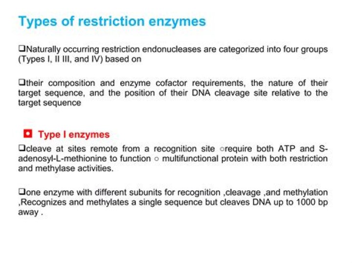 What are the 4 types of restriction enzymes?