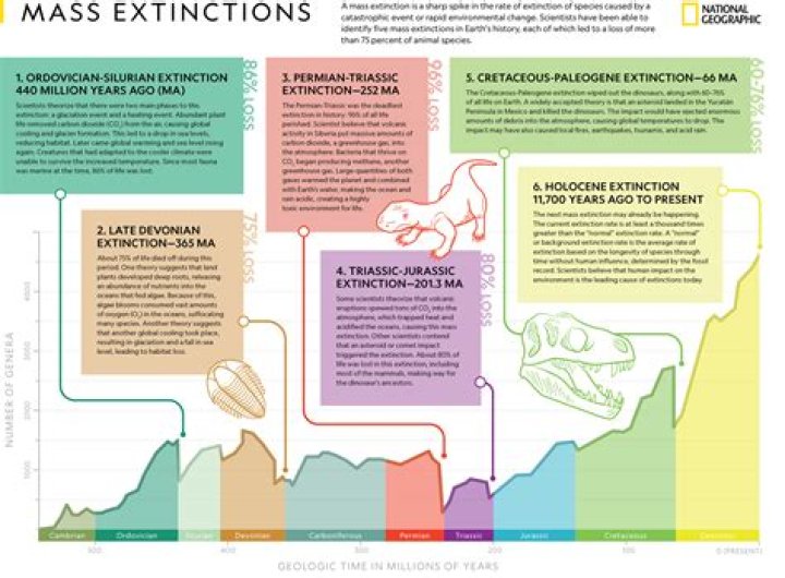 What are the 6 great extinctions?