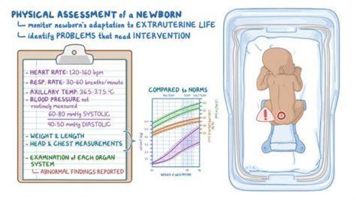 What are the expected physical assessment findings in a 6 month old infant ATI?