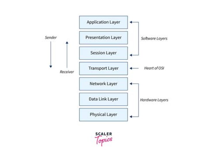 What are the protocols used in OSI layers?