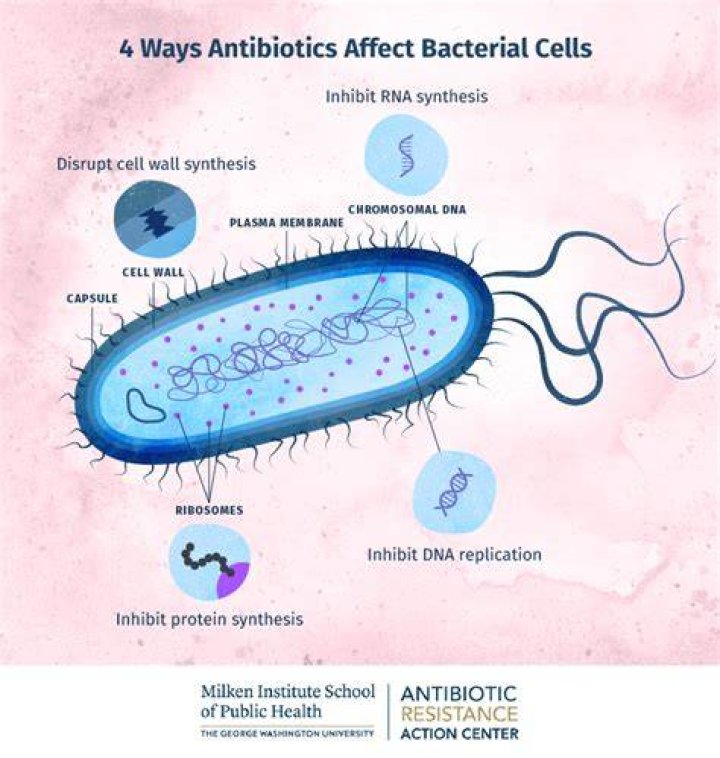 What can destroy bacteria in the body?