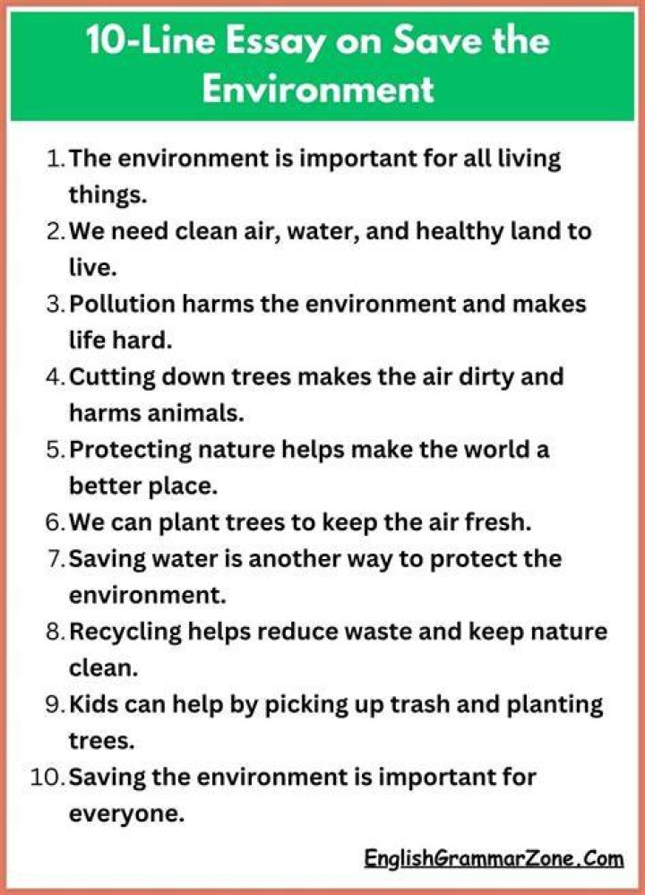 What can school students do to save the environment essay?