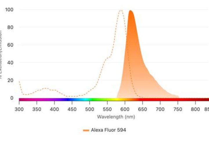 What Colour is Alexa Fluor 594?