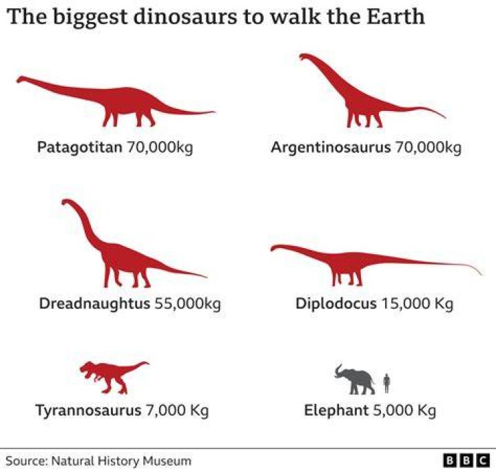 What dinosaur is bigger than Argentinosaurus?