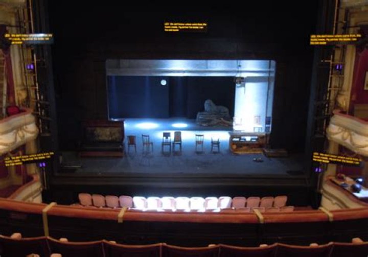 What does a captioned performance look like?