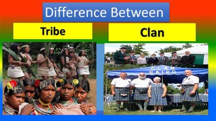 What Does Clan Mean? Meaning, Uses and More FluentSlang