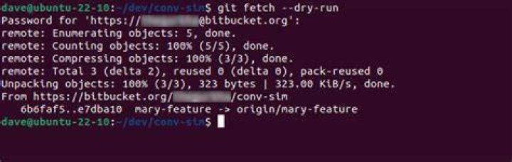What does git fetch dry run do?