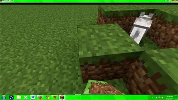 What does it mean to befriend a wolf in Minecraft?