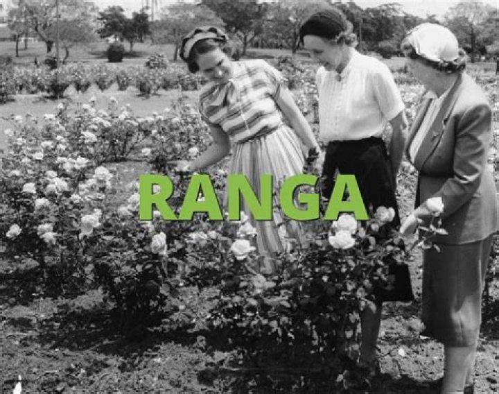 What does the name Ranga mean?