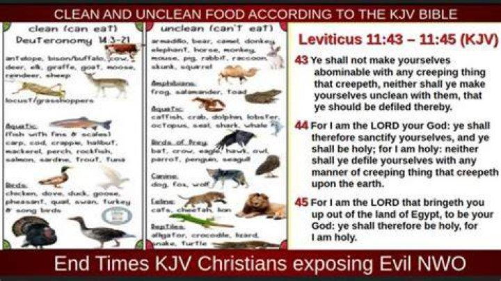What food is clean according to the Bible?