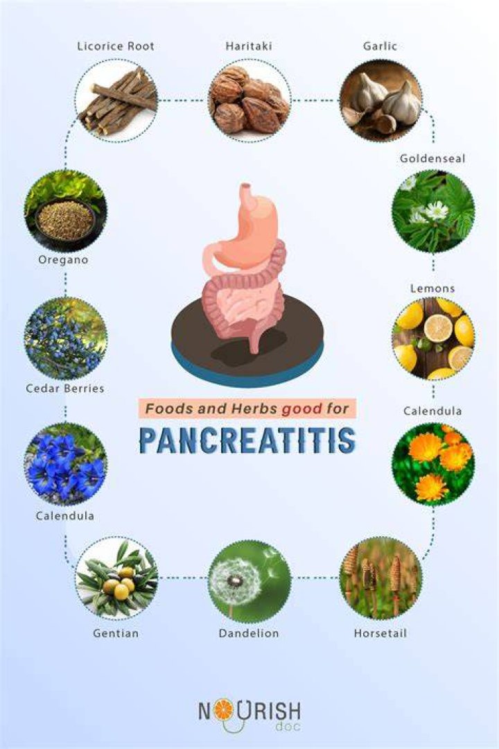 What foods are pancreas friendly? ·