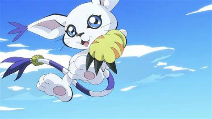 What happened to Gatomon in Digimon Tri?
