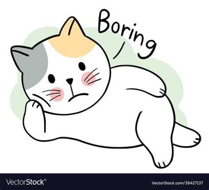 What is a boring animal?