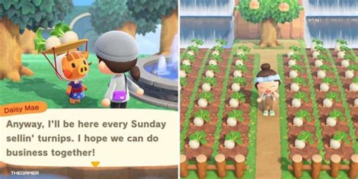 What is a good price for turnips in Animal Crossing?