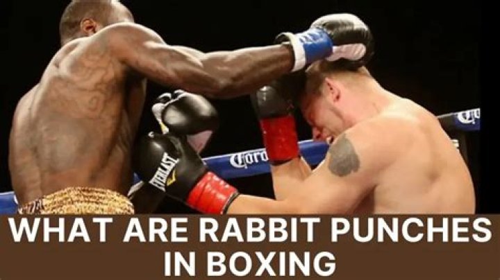 What is a Rabbit Punch in Boxing/MMA? Easily Explained MMA Channel