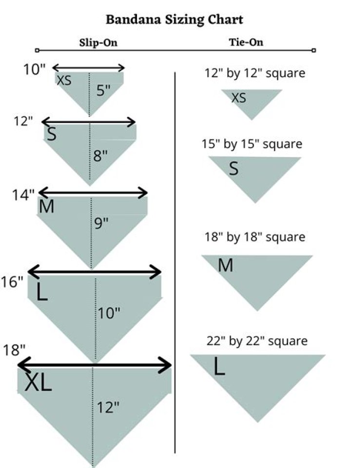 What is a standard size bandana?
