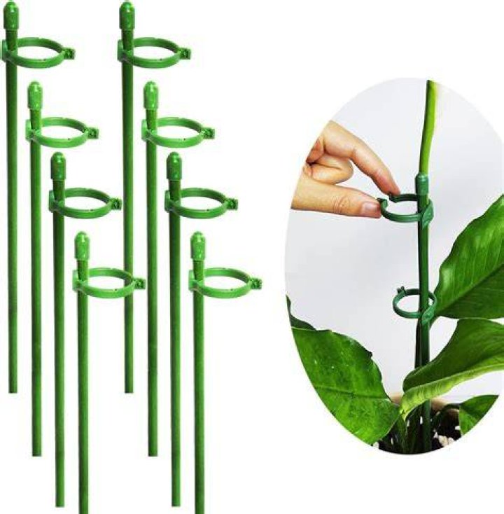 What is a support for plants called?